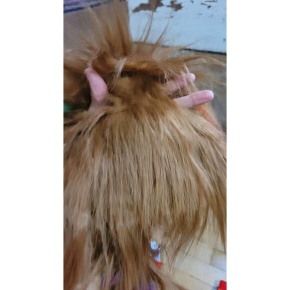 Take Pride Pet Apparel Lion Mane Headwear & Leg Warmers LGBTQ Pride S/M L/XL - Picture 5 of 5